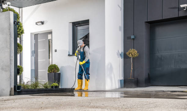 Best Fence Cleaning  in Edwardsvle, IL